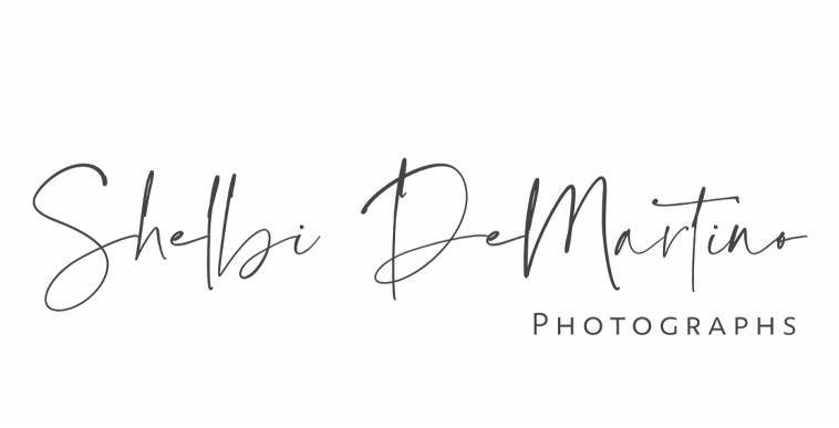 Shelbi DeMartino Photographs logo